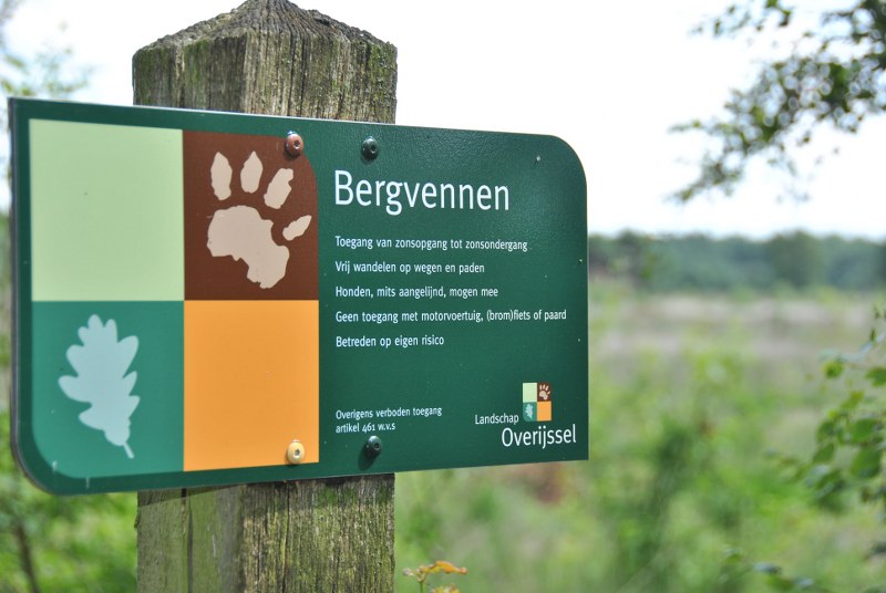 Bergvennen